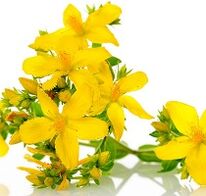 St. John's wort potensi uyarmak için