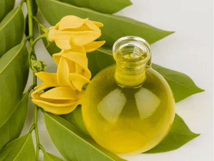 Etkinliği artırmak için aromaterapi